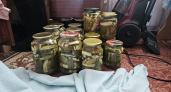 Соль и зелень в топку: нашла способ солить огурцы, чтобы хрустели как первый снег в лесу