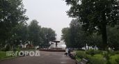 Упавшее дерево и не скошенная трава: 1549 обращений оставили кировчане в соцсетях за неделю