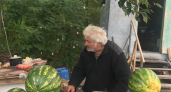 Хвостики арбузам больше не тереблю: на спелость ягоды укажет ваш смартфон — просто постучите и включите микрофон
