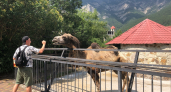 Крым и Геленджик в пролёте: найден самый недорогой курорт на Черноморском побережье для отдыха в 2026