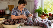 В обычных пакетах храню свеклу до весны: никаких погребов — просто и без затрат