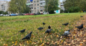 Перепады температур и ранний снег: синоптики обновили прогноз погоды на осень