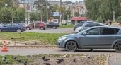 В Кирове женщина за рулем иномарки сбила школьника на самокате