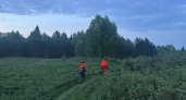 В Кильмезском районе начались поиски босого мужчины