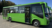 В Кирове частные перевозчики выведут на маршруты пять новых зеленых автобусов