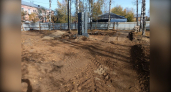 В сквере Надежды в Кирове появится лабиринт из живой изгороди