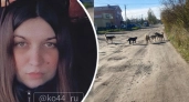 В соседнем с Кировской областью регионе собаки искусали двух детей