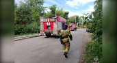 Под Кировом дерево рухнуло на автомобиль с человеком внутри