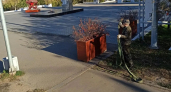 В Кирове убирают летние цветочные контейнеры и гидровазоны