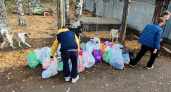 Юные кировчане передали в приют десятки килограммов корма