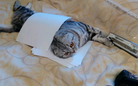 Суббота в Кирове: как кировчане встретили шестой рабочий день недели