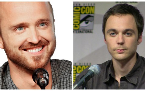 Кировчане о любимых сериалах - Джесси Пинкман или Шелдон Купер?