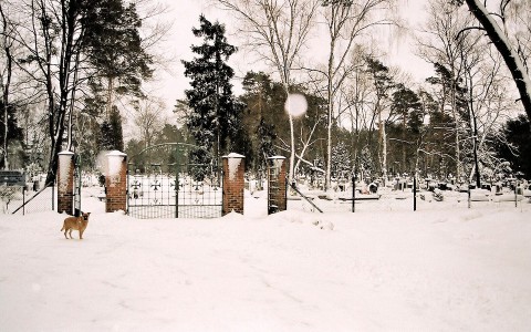 Ограды на кладбище своими руками: простые и доступные решения