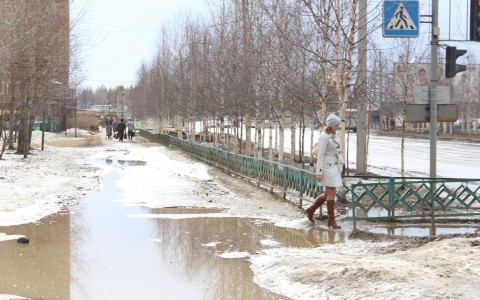 Прогноз погоды: в Кирове рабочая неделя будет теплой
