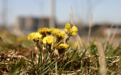 Прогноз погоды на весну и лето 2016: снег растает в апреле