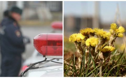 Что обсуждают в Кирове: гибель полицейского за рулем авто и прогноз погоды на весну и лето