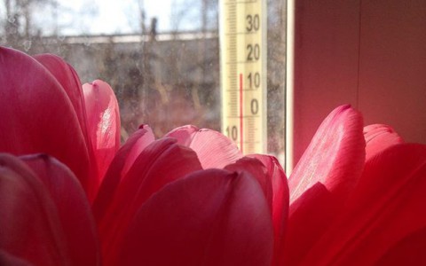 Четверг в Кирове: блинный торт к Масленице и весна в городе