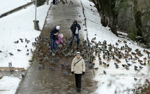 Прогноз погоды: в Кирове в выходные пройдет дождь и выпадет снег