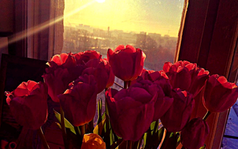 Пятница в Кирове: цветы и гора блинчиков с клубникой