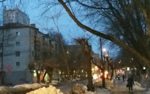 В центре Кирова над тротуаром повисло надломленное дерево