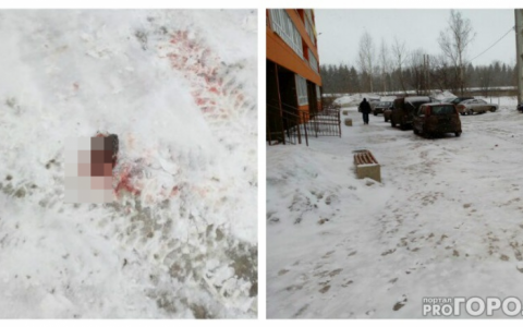 Что обсуждают в Кирове: девушка-таксист из Чепецка и падение 50-летней женщины с 16 этажа