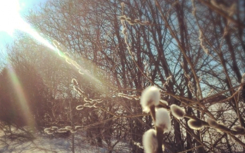 Четверг в Кирове: яркий завтрак и переменчивая погода