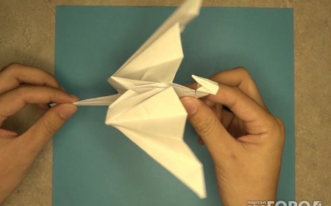 В связи с трагедий в Ростове-на-Дону акция "День счастья" переносится