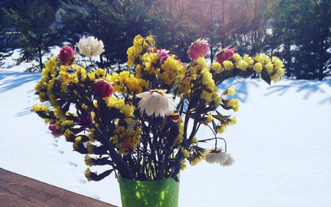 Четверг в Кирове: выходной на даче и невероятный пейзаж