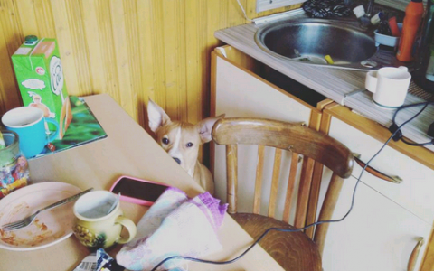 Пятница в Кирове: типичная остановка и проверка на внимательность