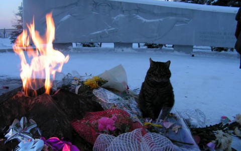 В Кирове к майским праздникам обновят памятники