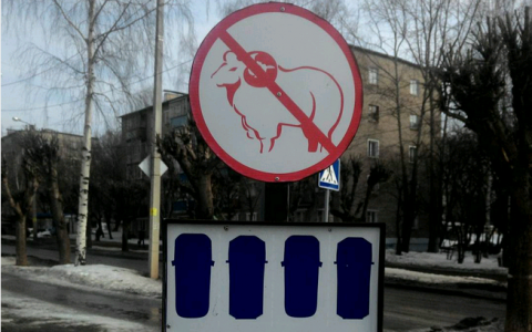 Среда в Кирове: сумасшедший босс и знак "против баранов"