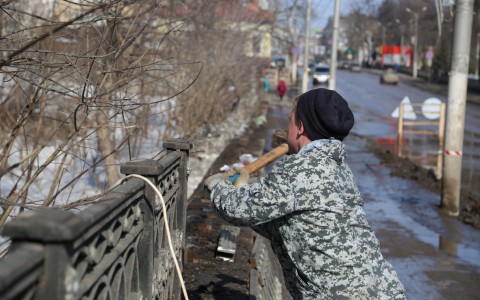 Видеокамеры, солнечные батареи и новый забор: началась реконструкция Ботанического сада