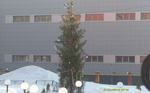 Это не шутка: в кировском сквере до сих пор стоит наряженная елка