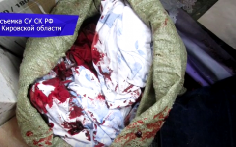 Появилось видео с места убийства молодых супругов в Кирове