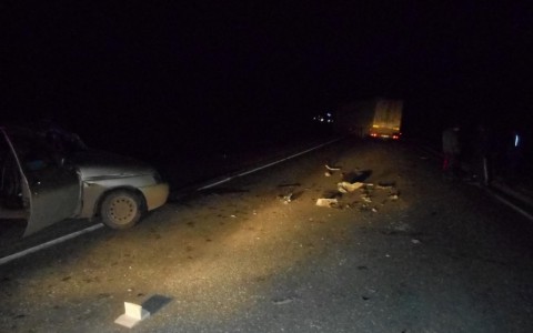 В Кировской области "двенадцатая" врезалась в грузовик: погиб водитель легковушки