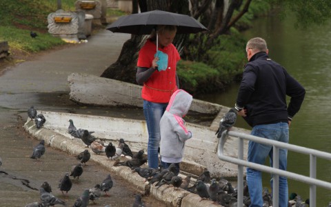 Прогноз погоды:  выходные в Кирове будут дождливыми