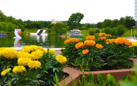 Стало известно, где в Кирове весной появятся новые клумбы и деревья