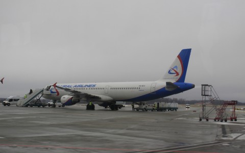 Цыгана, который убил кировчанку, задержали в столичном аэропорту Шереметьево