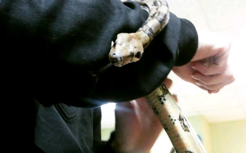 Понедельник в Кирове: сама прелесть и отличные выходные