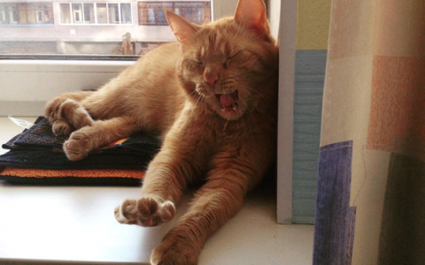 Вторник в Кирове: вечный выходной и окна с видом на "море"