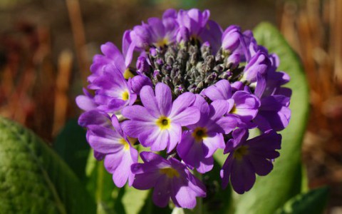 1 мая в Кирове: философские размышления и красивые пейзажи