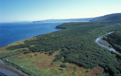 Путин подписал закон, по которому каждый может бесплатно получить гектар земли на Дальнем Востоке