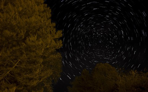 Кировчане смогут невооруженным взглядом увидеть звездный дождь