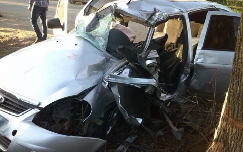 В Кировской области «Приора» влетела в дерево: пострадавшего вырезали из искореженного авто