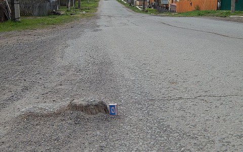 На кировских дорогах "выросли" пни