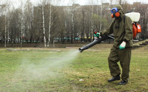 Какие парки и скверы Кирова вновь обработали от клещей?