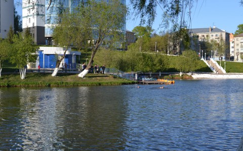 Двое кировчан на спор переплыли пруд у цирка