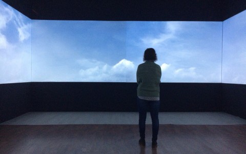 «Тревожно бьется сердце, и слезы сами текут из глаз», - посетители о выставке «Жизнь»