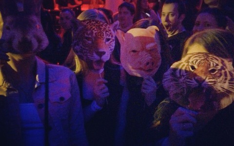 Фоторепортаж: группу «Звери» кировчане встретили в масках тигров и зайцев