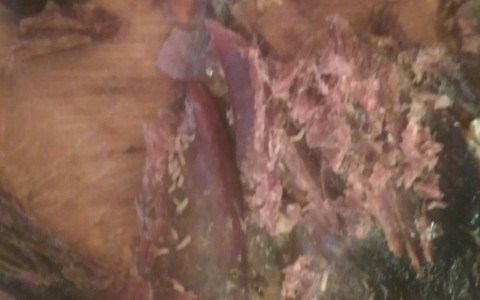 Кировчане нашли в купленном копченом мясе множество червяков